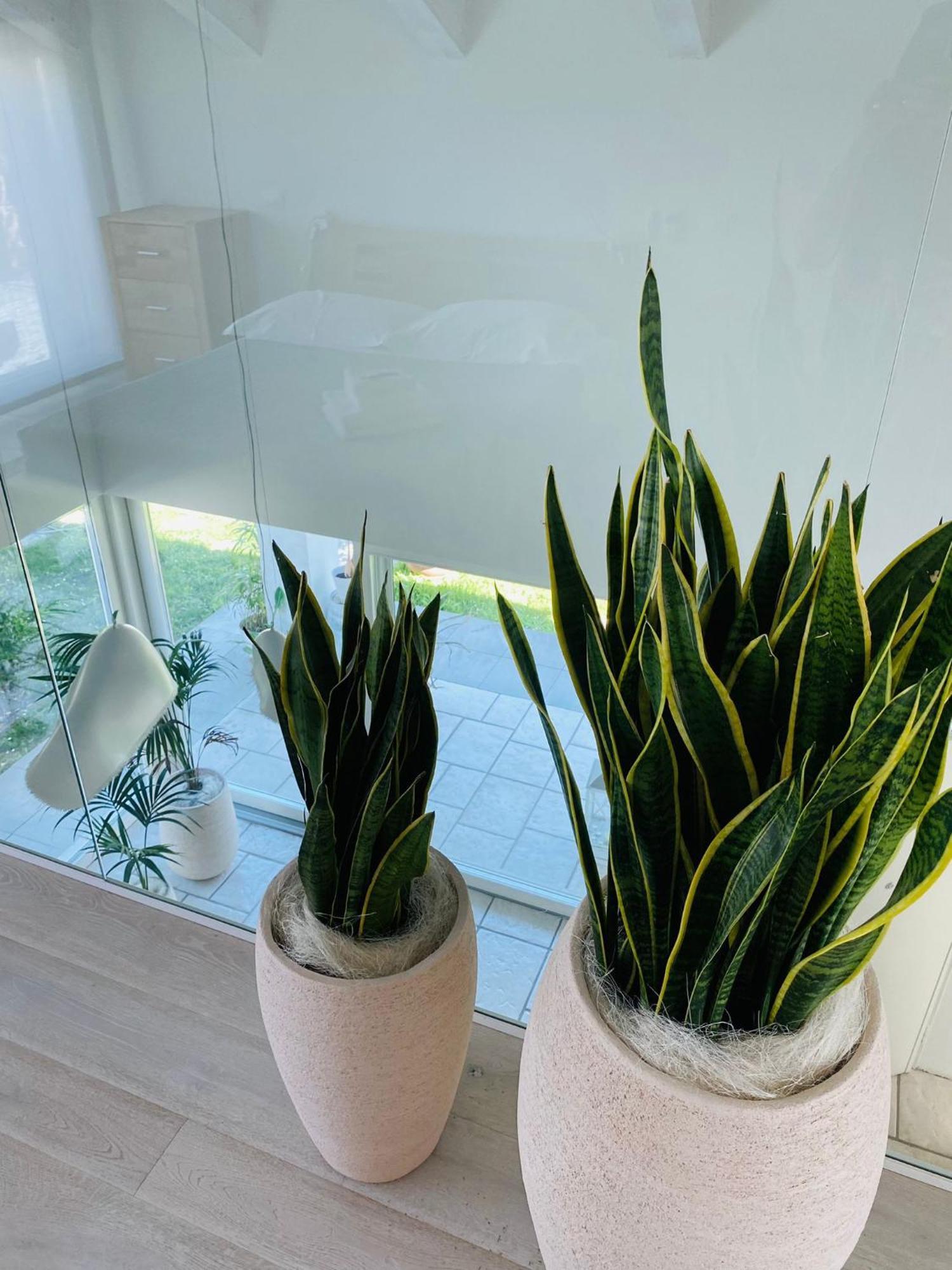 Jesolo Beach Villa Ferienhaus Lido di Jesolo